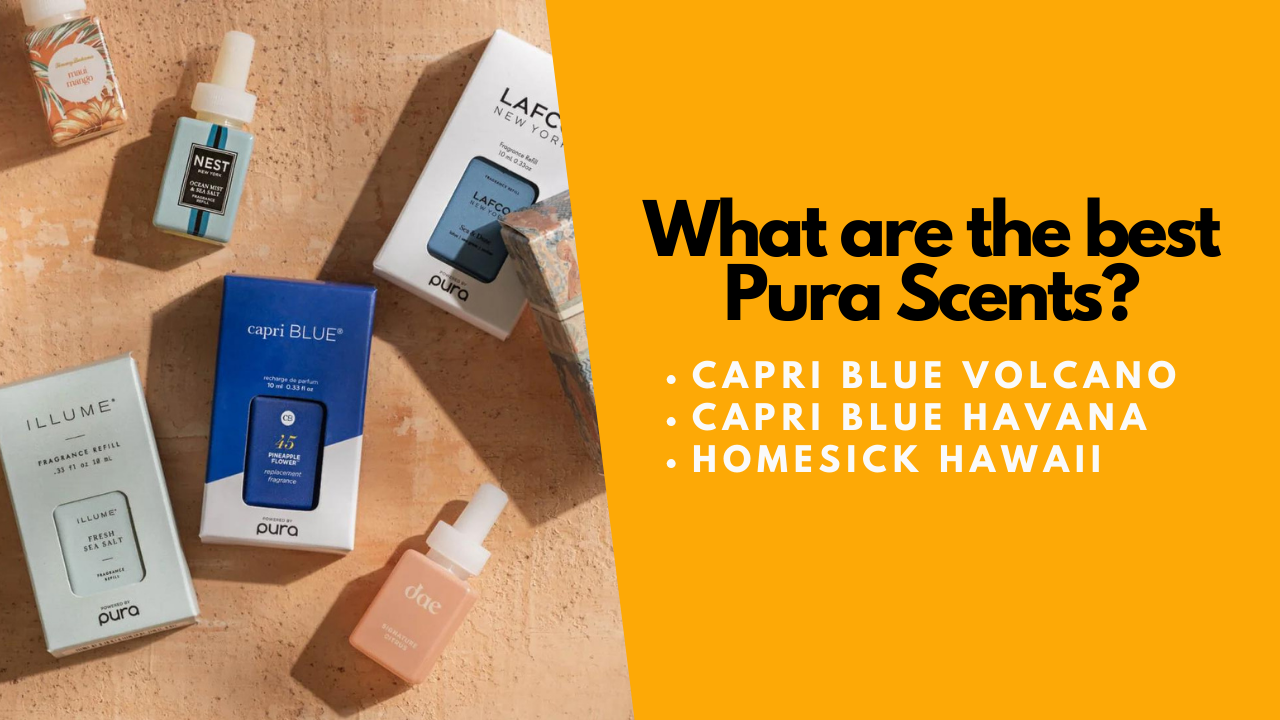 Pura Scents Reviews